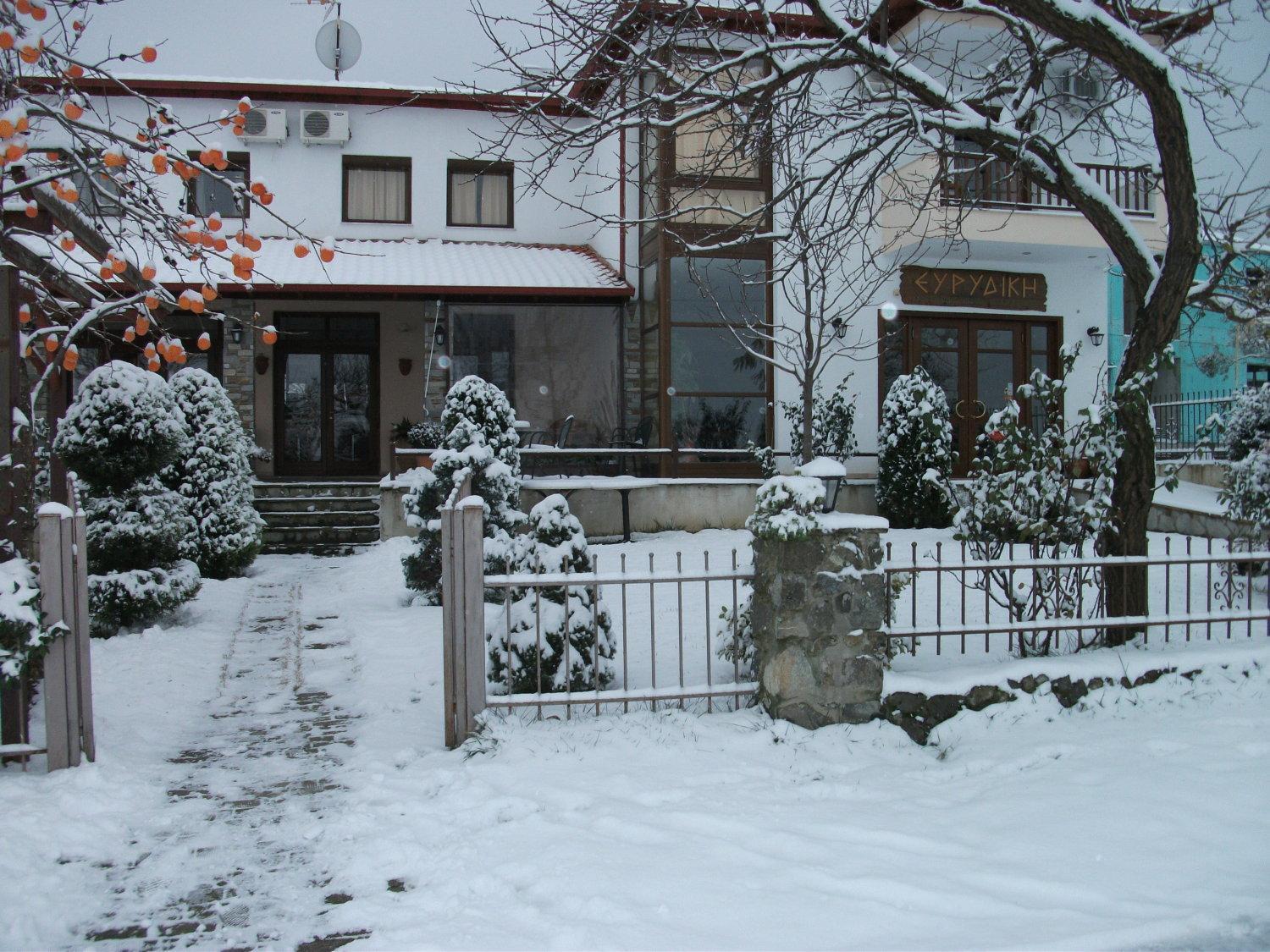 Evridiki Hotel Vergina Exterior foto